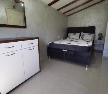 Stara Planina Villa | Vila Jotic, Zavojsko jezero