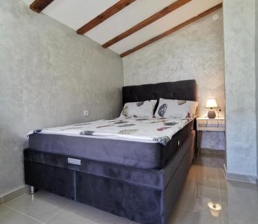Stara Planina Villa | Vila Jotic, Zavojsko jezero