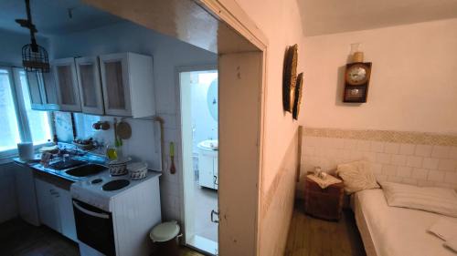 Stara Planina House | Vila Kruna