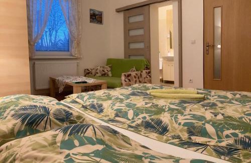 Nova Lesna House | Vila Lesana
