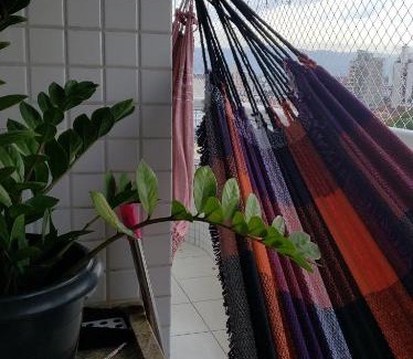 Mirim Apartment | VILA MIRIM