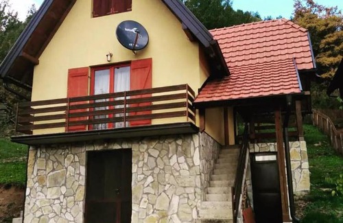Bajina Basta Villa | Vila Mitrović