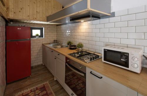 Toplita Ski Chalet | Vila Mura