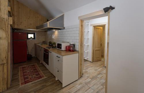 Toplita Ski Chalet | Vila Mura