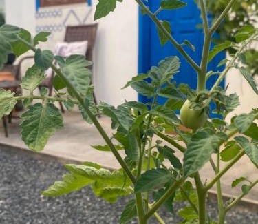 Canavieiras Bed & Breakfast | Vila Oia 200 m da praia