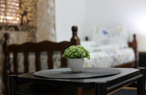 Stara Planina Apartment | Vila Panorama