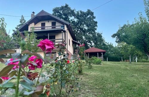 Smederevo Villa | Vila Plavinac