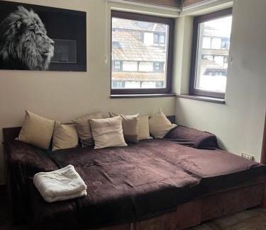 Kopaonik Apartment | Vila raj