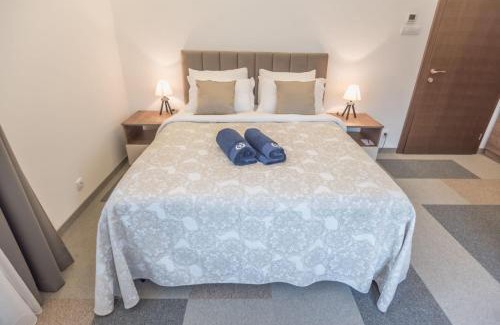Banja Koviljaca Apartment | Vila Samokres sa bazenom