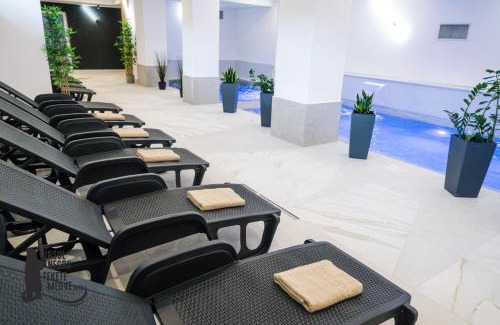 Sovata House | Vila Ursul Negru
