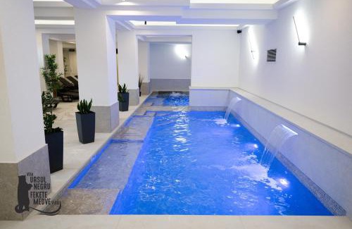 Sovata House | Vila Ursul Negru