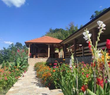 Bor Apartment | Vila Vera Borsko Jezero