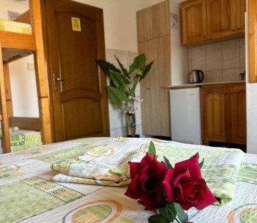 Bregvija Apartment | Vila Vrba