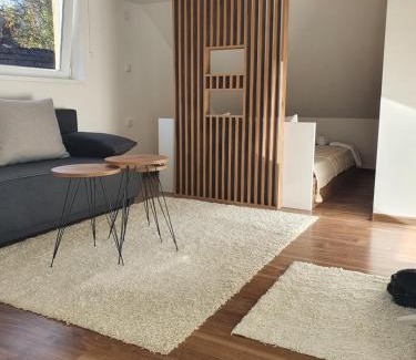 Stara Planina Apartment | Vila Vrh