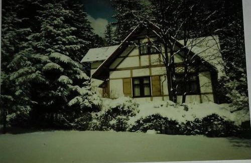 Tatranska Kotlina Cabin | Vila Zdenka