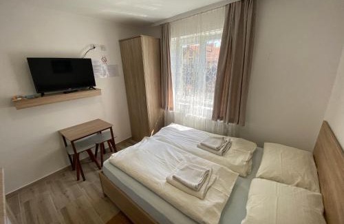 Prolomska Banja Apartment | Vila Zdravković Prolom Banja