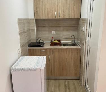 Prolomska Banja Apartment | Vila Zdravković Prolom Banja