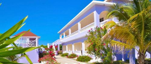Discovery Bay Apartment | Vilagio Villa