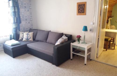 Viljandi Apartment | Viljandi Paadimehe Apartment