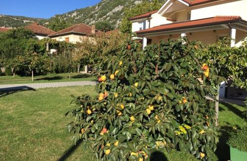 Trn Villa | Villa Šurmanci