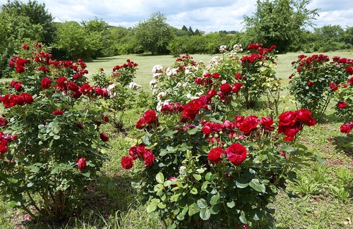 Saint-Mary Villa | Villa 5 Roses - Exclusive villa in the French Countryside with a private pool