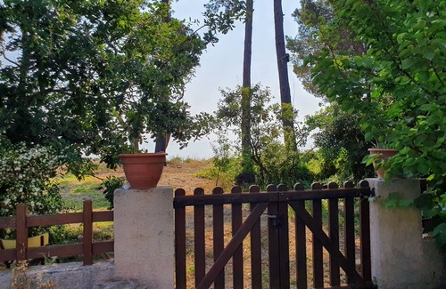 Santa-Maria-Poggio Villa | Villa 8 people 50 m from the sea, direct access