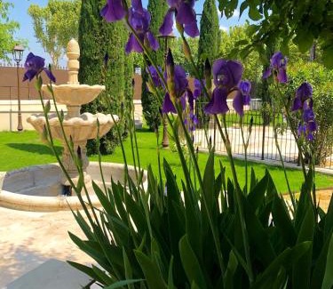 Orange Bed & Breakfast | Villa Agrippa