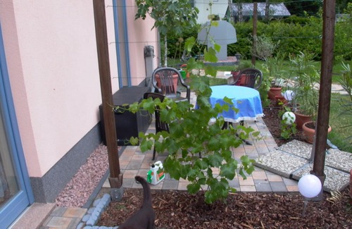 Woltersdorf Apartment | VILLA ALEXA holiday - family-friendly and also with pets