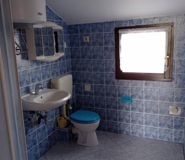 Cesarica Apartment | Villa Alexa Cesarica