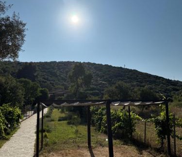 Aristotelis Villa | Villa Alexandros