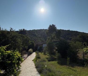 Aristotelis Villa | Villa Alexandros