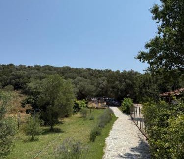 Aristotelis Villa | Villa Alexandros