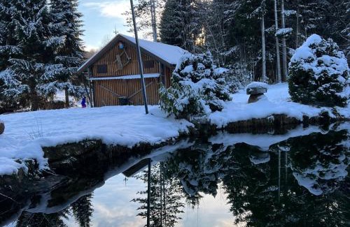 Braunlage Apartment | VILLA am Paulsberg mit Sauna - V4