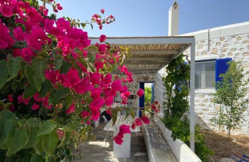 Ampelas House | Villa Ambelas - Traditional House