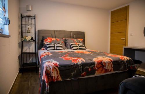Trn Villa | Villa Ambrić