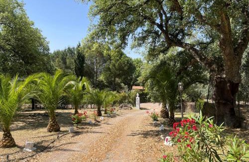 Aracena House | Villa Amigo, Casa Rural espectacular en Sierra de Aracena