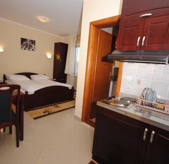 Gornja Trepca Apartment | Villa Ana