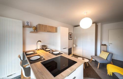 Annecy Old Town Apartment | Villa Aniciaca - Recent apartment with private and secure parking