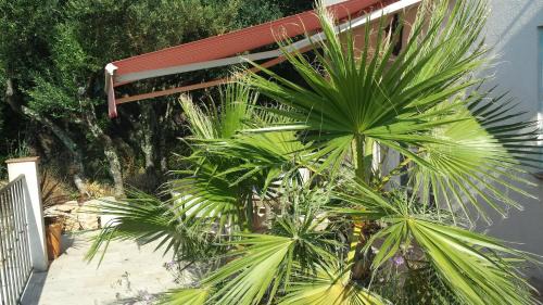 Lorgues House | Villa Azur