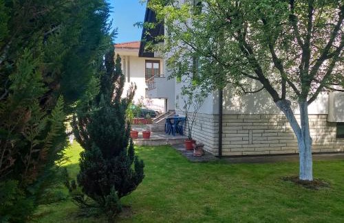 Mali Radic House | Villa Behić
