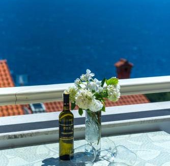 Mosenice Apartment | Villa Bellavista