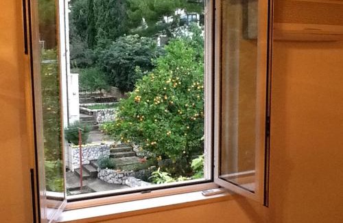 Zupa dubrovacka Villa | Villa Bisou