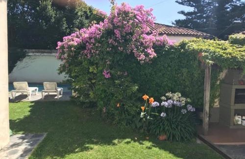 Mar del Plata Bed & Breakfast | Villa Black Bnb
