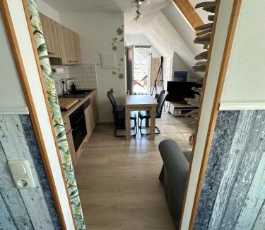 Zingst Apartment | Villa Blau Wohnung 03Studio