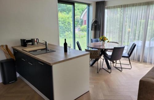 Gasselte Villa | Villa Bosanemoon met Sauna | 6 personen - De Kremmer