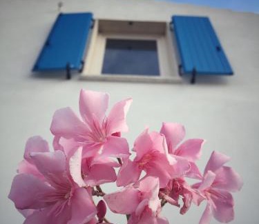 Carloforte Bed & Breakfast | Villa Brigida