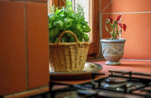 Castelnuovo di Garfagnana Villa | Villa Buriconti: Tranquil Countryside Oasis