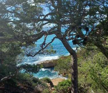 Ensues-la-Redonne Villa | Villa Calanques