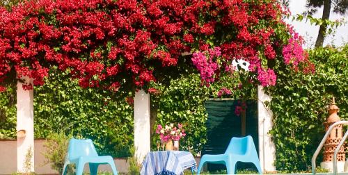 Fonte de Sesimbra House | Villa Canto da Lua