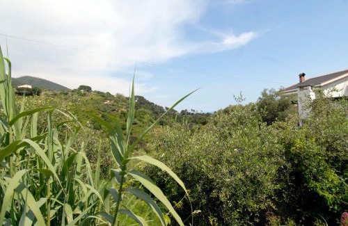 Cinque Terre House | Villa Caribe affittacamere